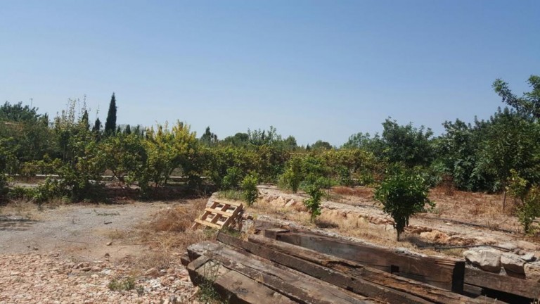 Parcela de uso Agrario en Mas de Moya, Liria